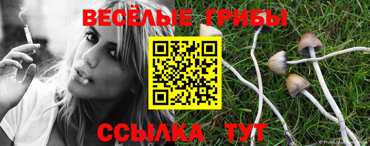 Галлюциногенные грибы Psilocybine cubensis  Галлюциногенные грибы мухоморы  Вход с VPN  Петропавловск-Камчатский 