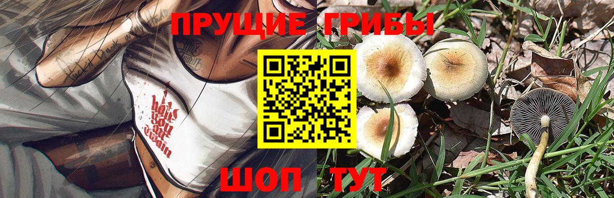 Псилоцибиновые грибы мухоморы Петропавловск-Камчатский